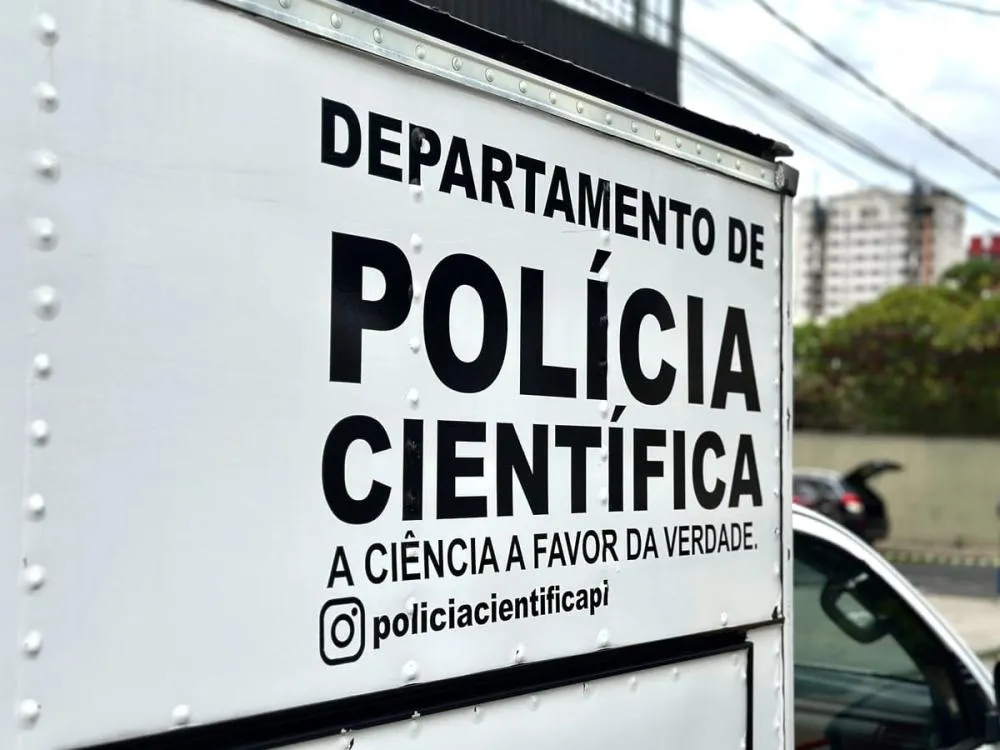 conecta piauí
