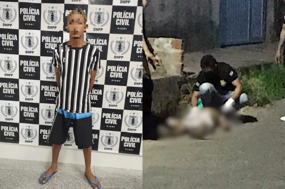 conecta piauí